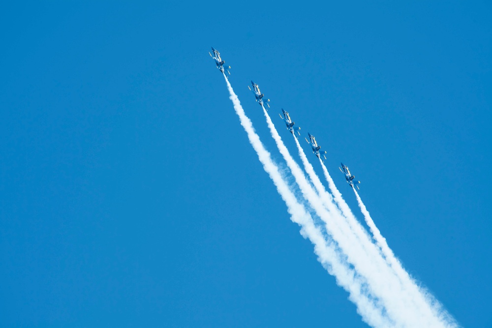 Seattle Seafair Weekend Show at Genesee Park