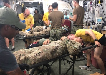 3rd Cavalry and Coalition Forces Sharpen MASCAL Skills