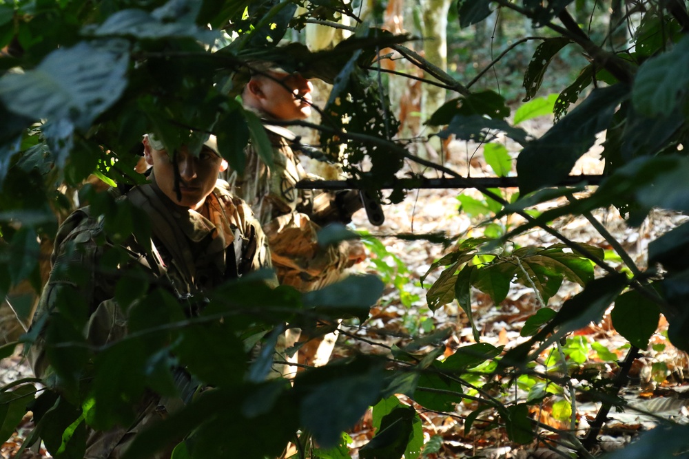 U.S. Army Soldiers participate in Jungle Warfare School in Ghana