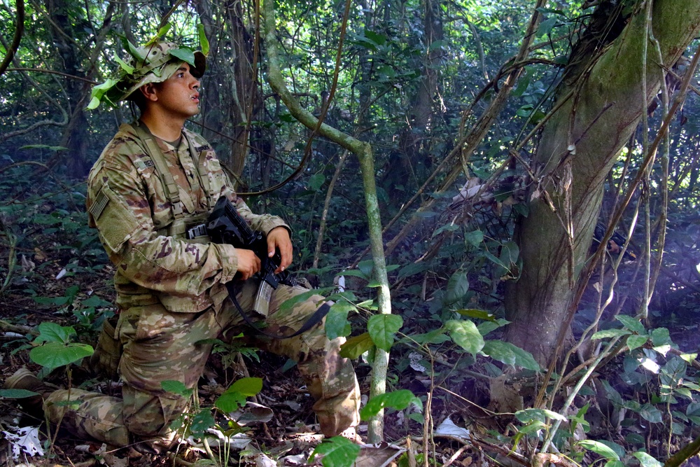 U.S. Army Soldiers participate in Jungle Warfare School