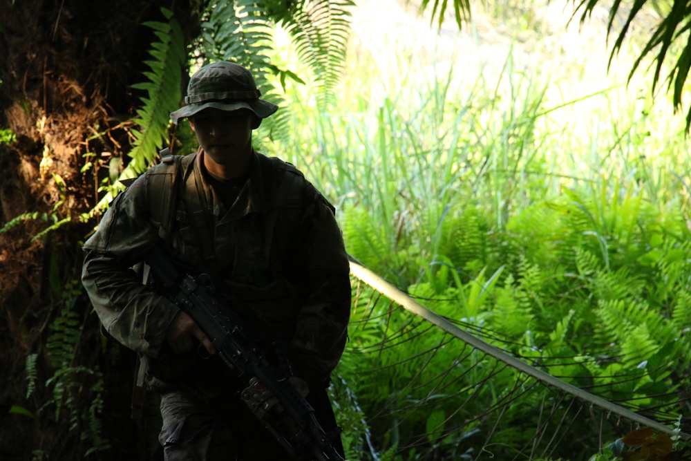 U.S. Army Soldiers participate in Jungle Warfare School in Ghana