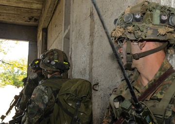 German army shows solidarity during Noble Partner 18