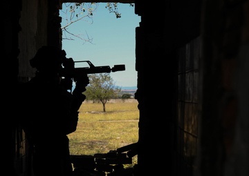 German army shows solidarity during Noble Partner 18