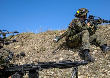 German army shows solidarity during Noble Partner 18