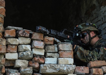 German army shows solidarity during Noble Partner 18