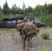 4th Marine Division Super Squad Competitors Conduct Air Movement Operations