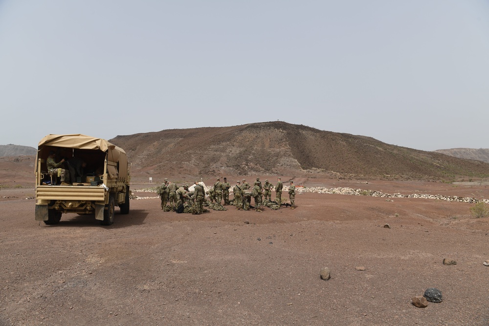 10th Mountain Division conducts STX