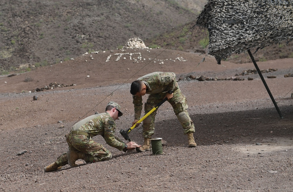 10th Mountain Division conducts STX