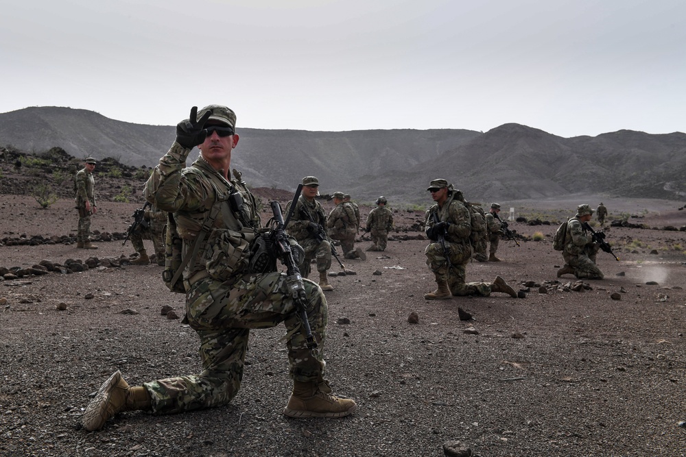 10th Mountain Division conducts STX