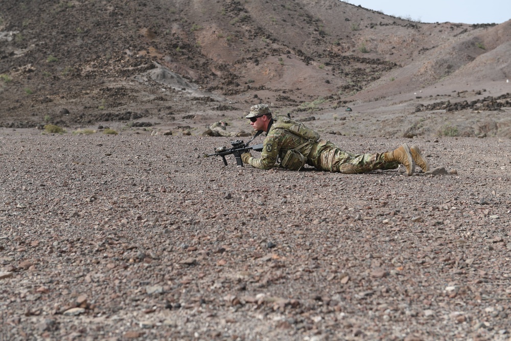 10th Mountain Division conducts STX