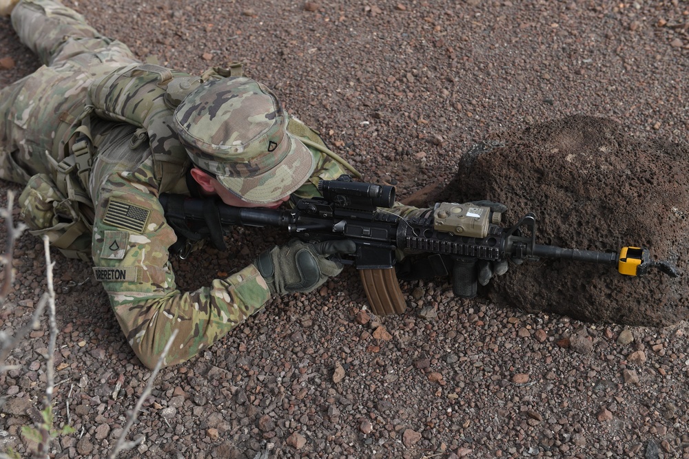 10th Mountain Division conducts STX