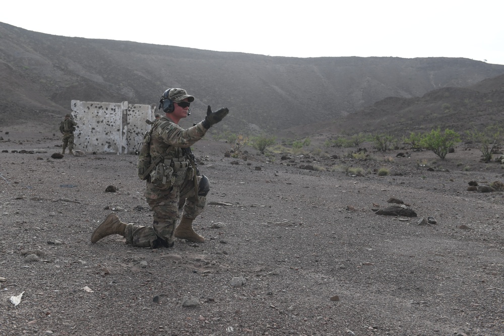 10th Mountain Division conducts STX