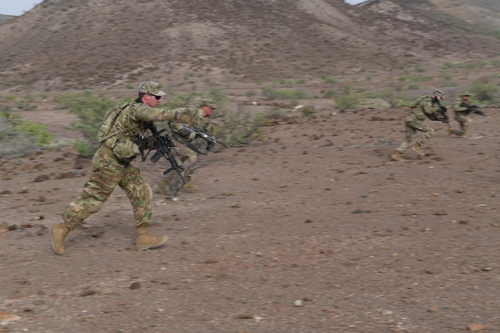 10th Mountain Division conducts STX