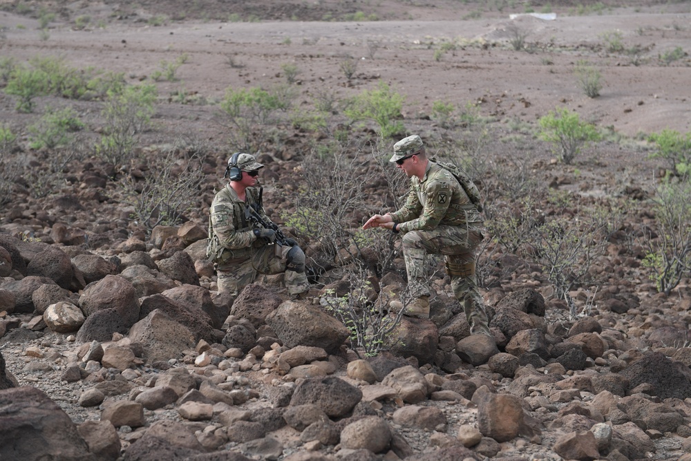 10th Mountain Division conducts STX