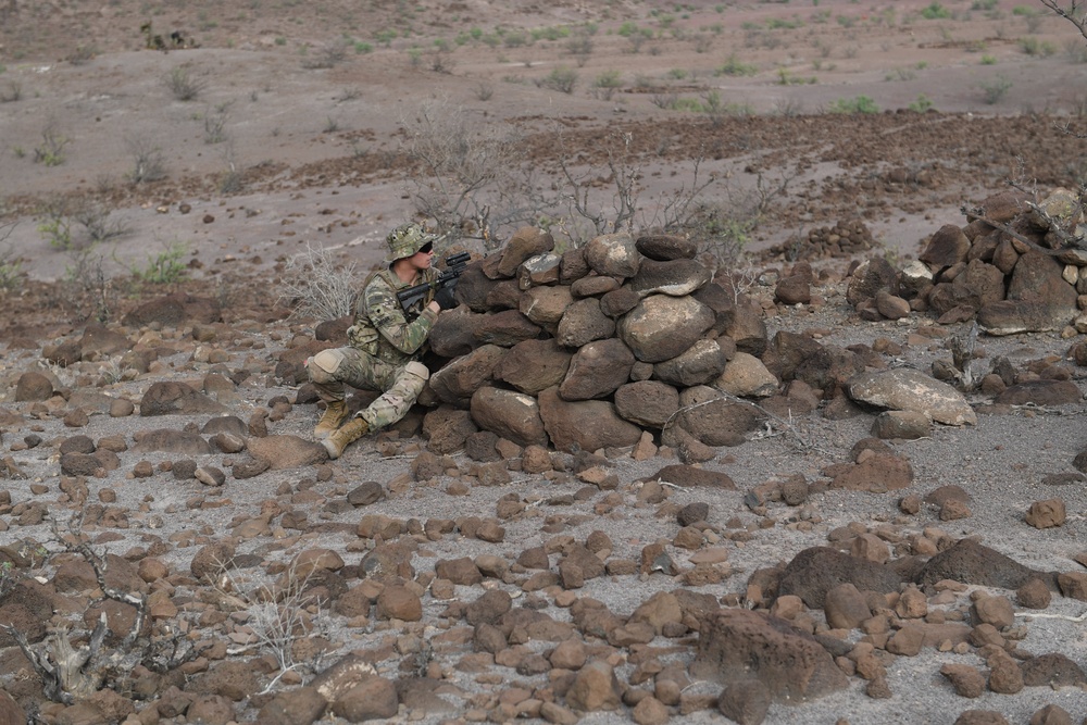 10th Mountain Division conducts STX