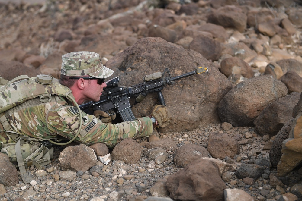 10th Mountain Division conducts STX