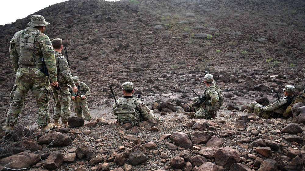 10th Mountain Division conducts STX