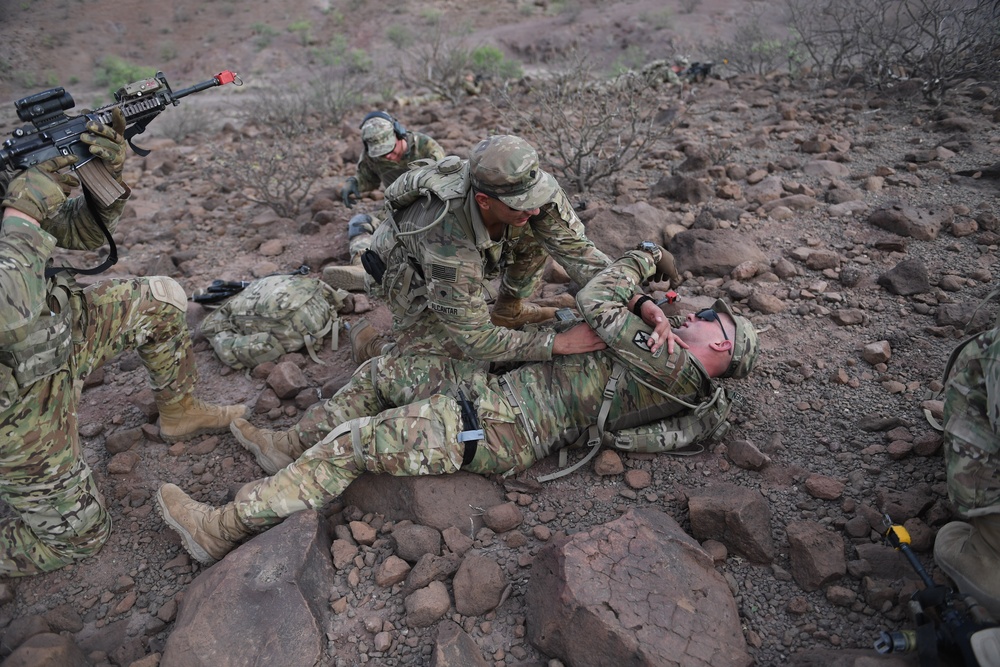 10th Mountain Division conducts STX