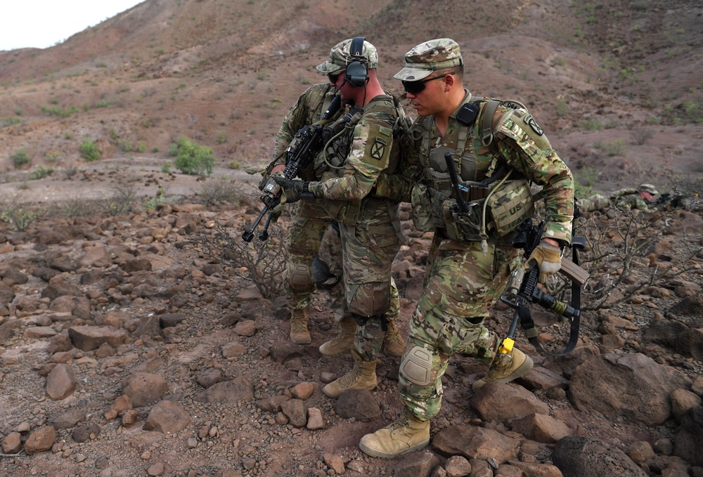 10th Mountain Division conducts STX