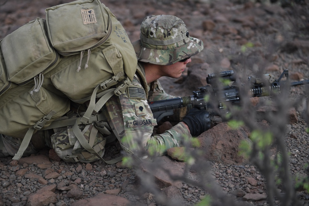 10th Mountain Division conducts STX