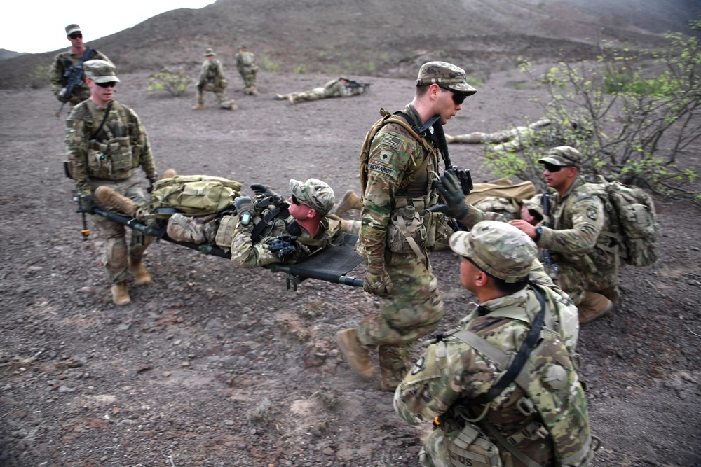 10th Mountain Division conducts STX