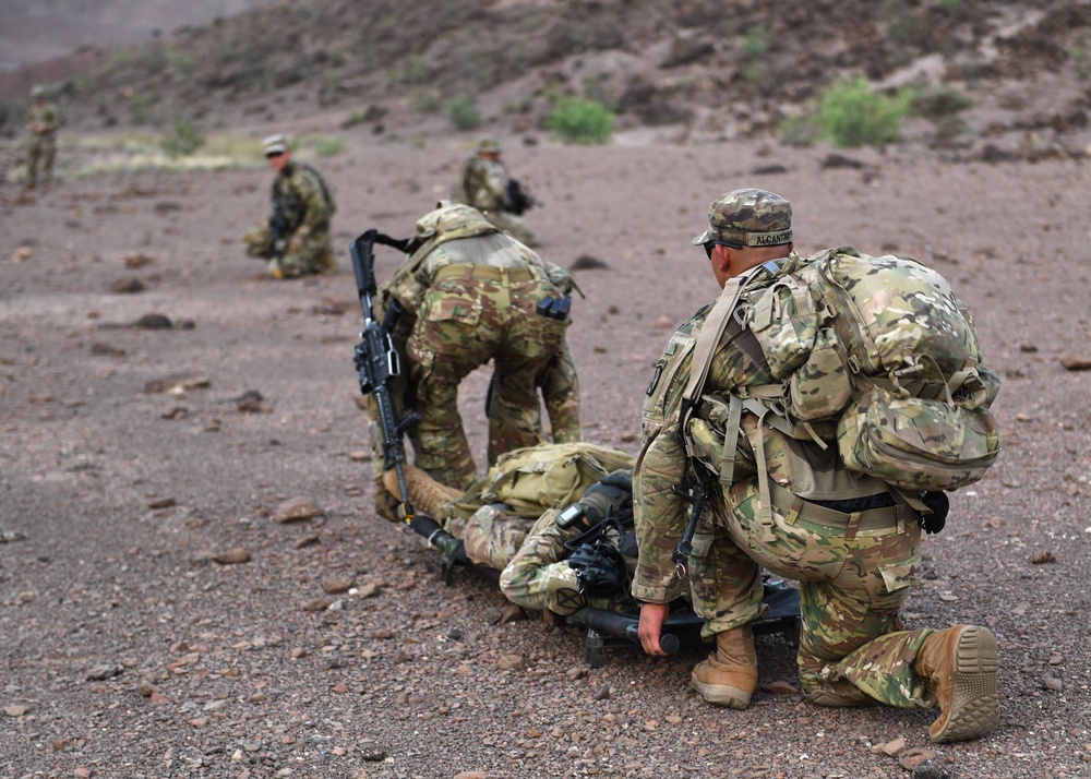 10th Mountain Division conducts STX