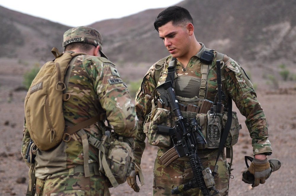 10th Mountain Division conducts STX