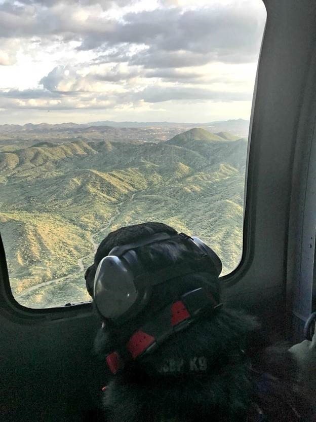 National Guard UH-60 Blackhawk and Border Patrol K9 Team arrest 4 illegal aliens
