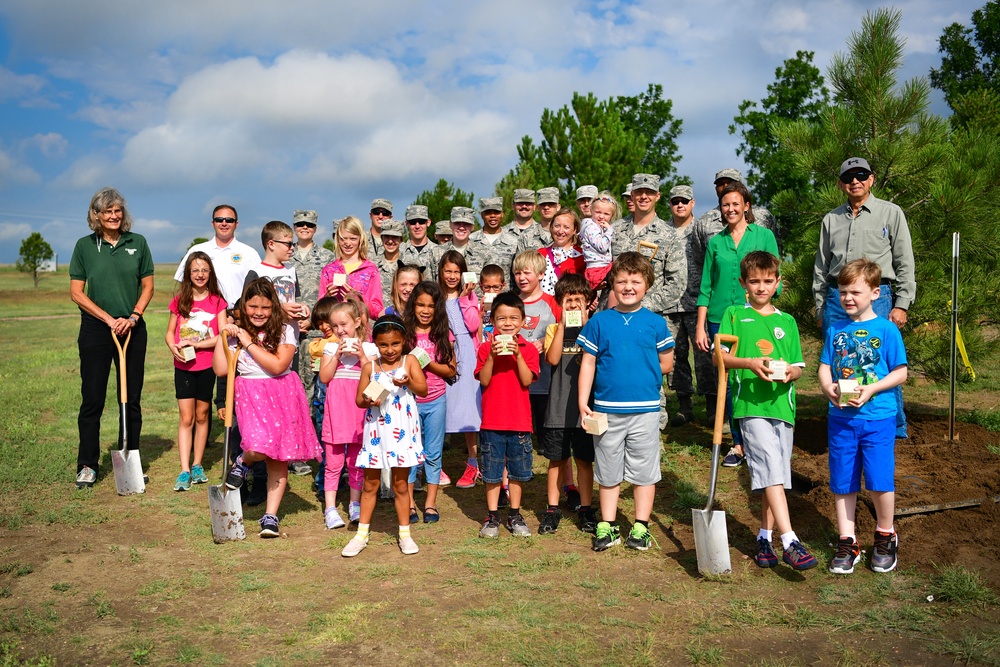 Tree City USA plants faith in future