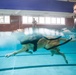 Military Working Dogs Get Their Paws Wet