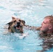 Military Working Dogs Get Their Paws Wet