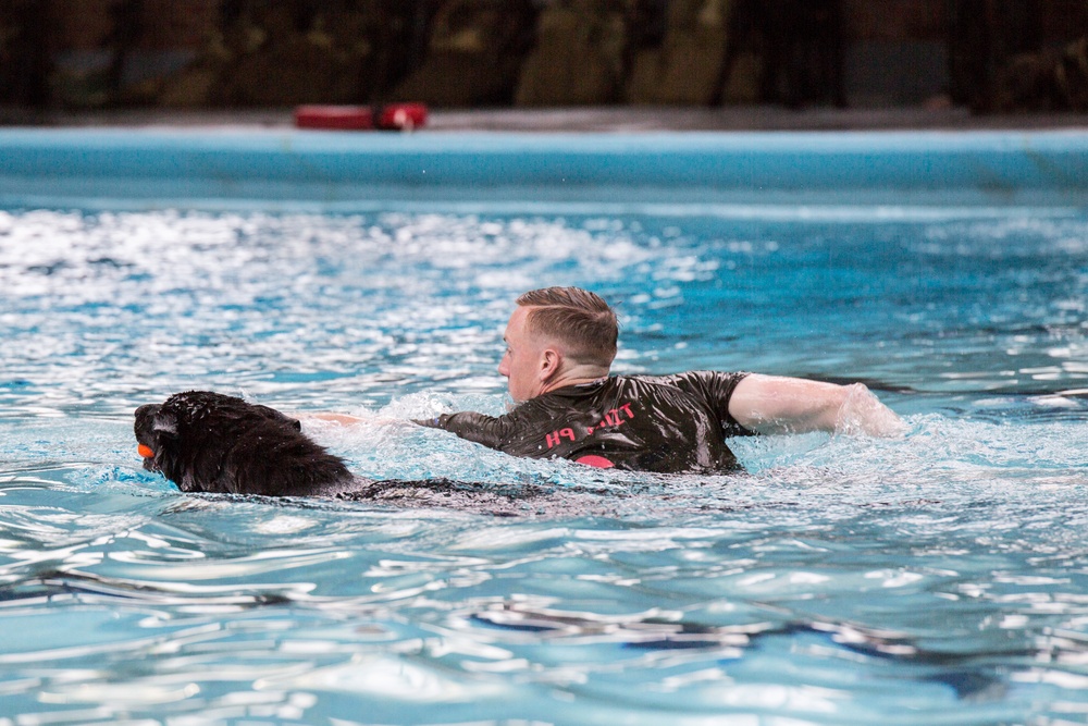 Military Working Dogs Get Their Paws Wet