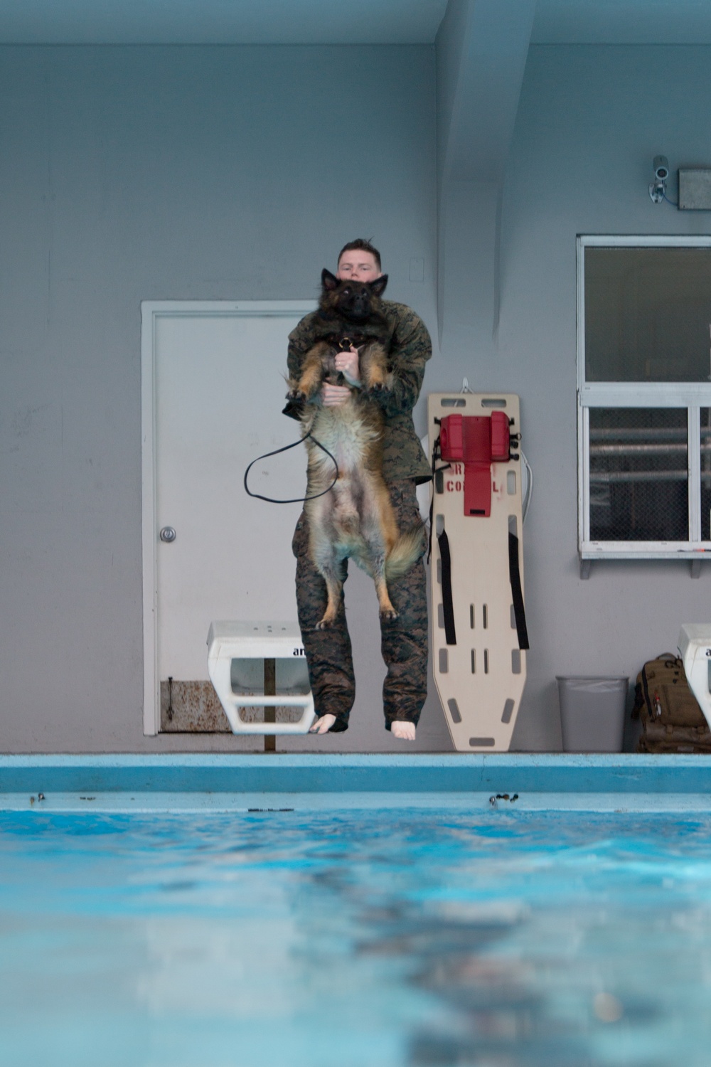 Military Working Dogs Get Their Paws Wet