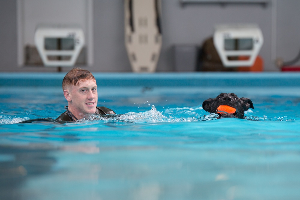 Military Working Dogs Get Their Paws Wet