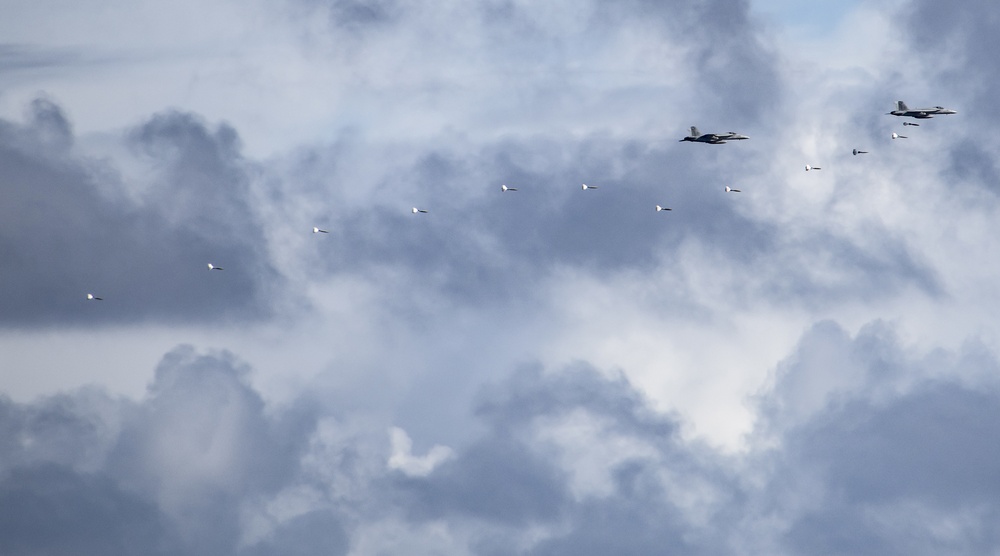 Carrier Air Wing 2 Air Power Demonstration