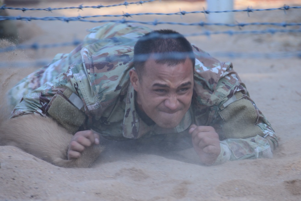 Oberdachstetten Obstacle Course