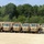 A row of military tactical trucks, consistent with LMTV/FMTV (Light/Family Medium Tactical Vehicle) variants, are parked in formation on a sandy/gravel lot. The vehicles are painted in desert tan/sand color and appear to be in good condition, suggesting a staging or motor pool area. Dense green trees and a light pole are visible in the background under a clear blue sky.