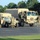 The image shows military personnel in camouflage uniforms conducting vehicle operations in a paved staging area. Two tan/desert-colored military vehicles are present — a HMMWV (Humvee) and a larger LMTV or FMTV cargo truck with canvas-covered beds. Soldiers appear to be coordinating movement or conducting a pre-movement inspection.