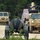 A convoy of U.S. Army military vehicles is traveling along a gravel road in a wooded area. The lead vehicle is an Oshkosh HEMTT (Heavy Expanded Mobility Tactical Truck) carrying a palletized load, followed by additional military trucks. In the foreground, camouflage-painted water trailers labeled 'POTABLE WATER' are parked along the roadside.