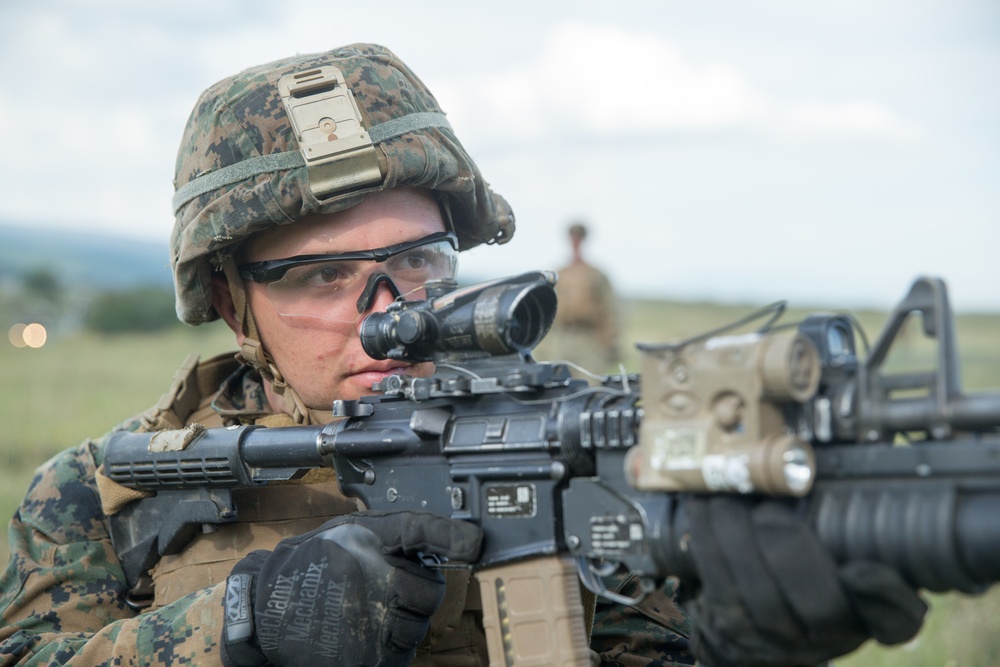 Platinum Lion 18 Training live-fire range