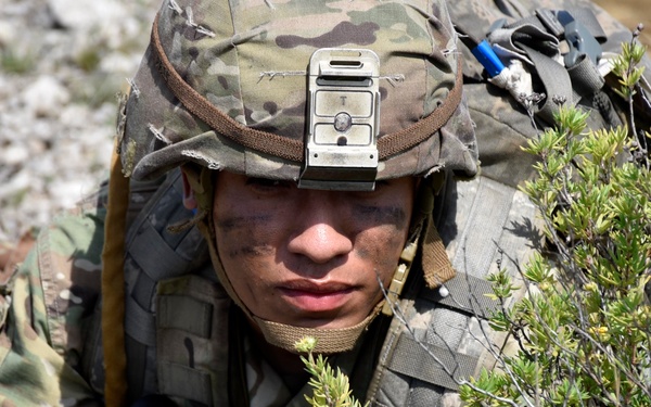 Marines play important role in exercise Northern Strike 18