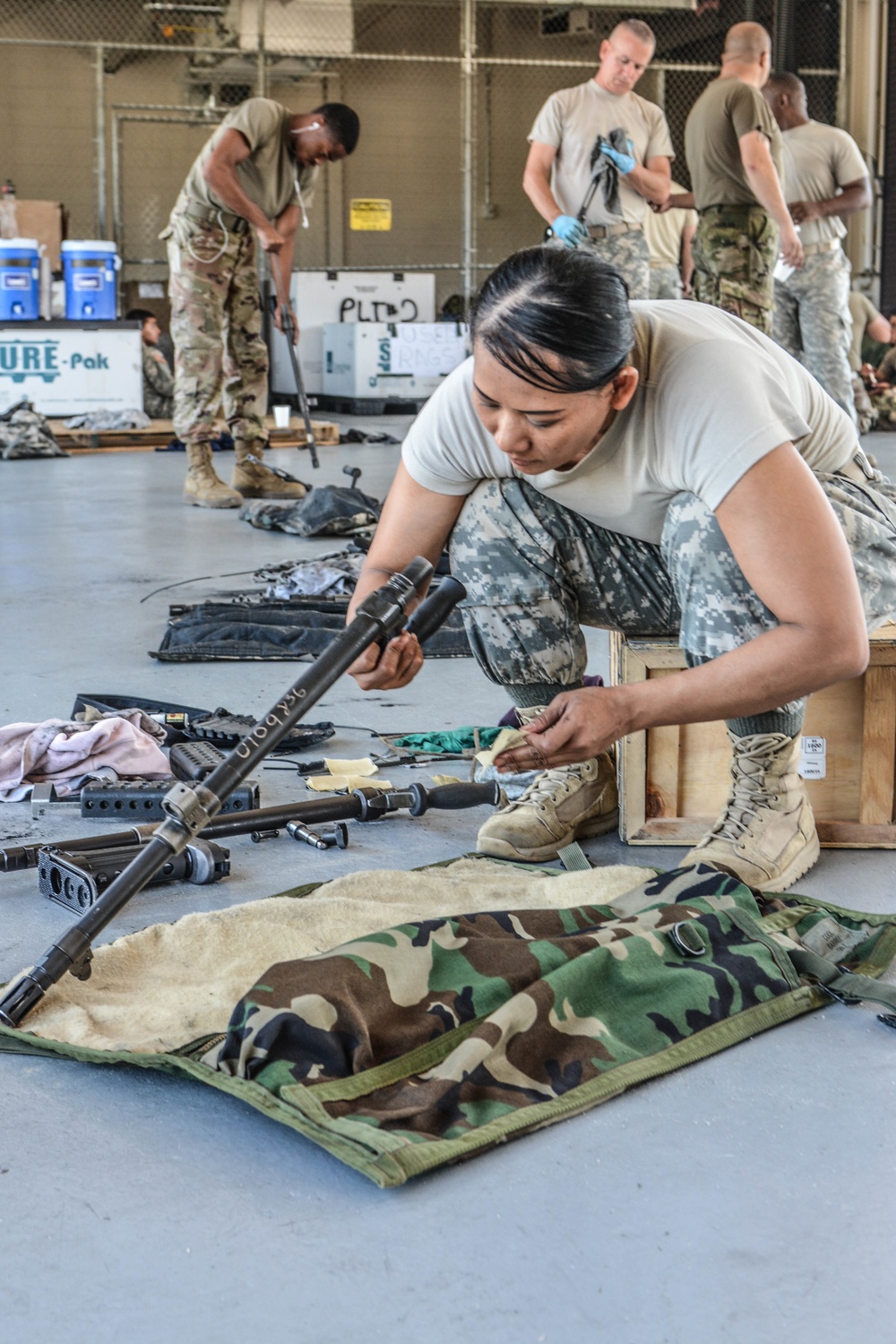 Weapons Cleaning
