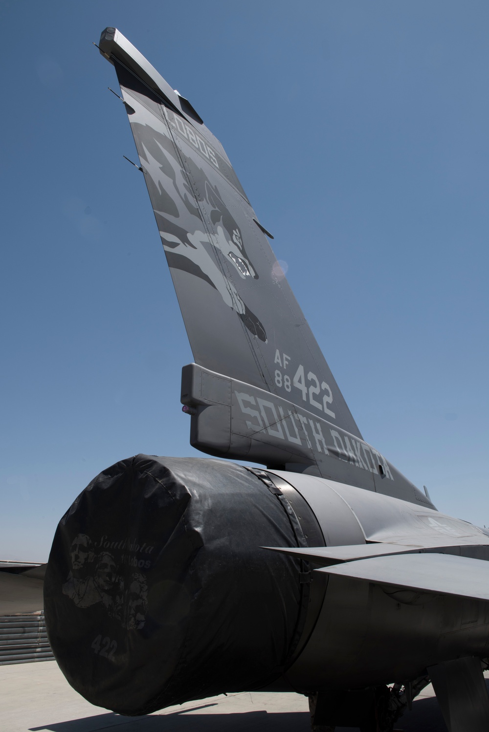 175th Expeditionary Fighter Squadron Brings U.S. Airpower to Bagram
