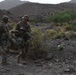 10th Mountain Division conducts STX