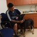 Veterinarians, dentists repair K-9 canine