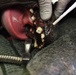 Veterinarians, dentists repair K-9 canine