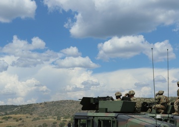 ARM hosts US Troops:  Aerial/Mounted Gunnery