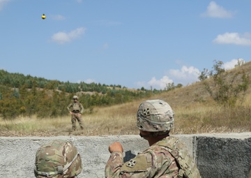 ARM hosts US Troops:  Aerial/Mounted Gunnery