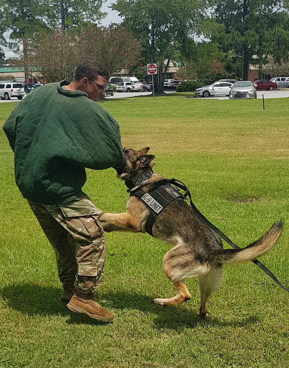 K9s train at Fort Stewart