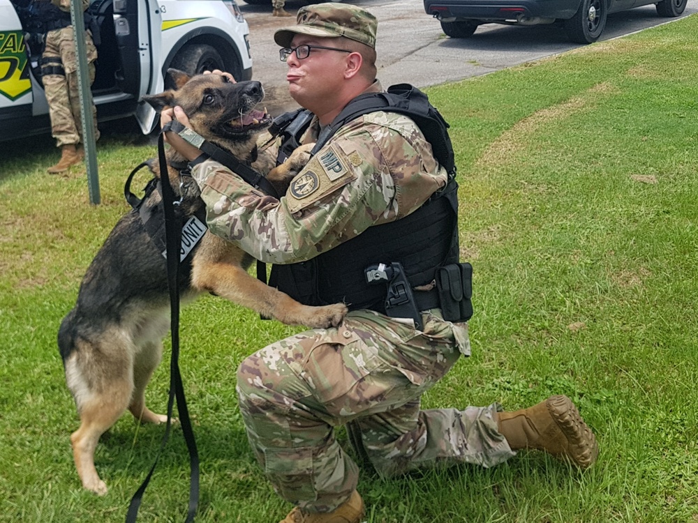 K9s train at Fort Stewart